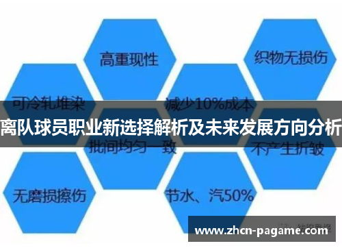 离队球员职业新选择解析及未来发展方向分析
