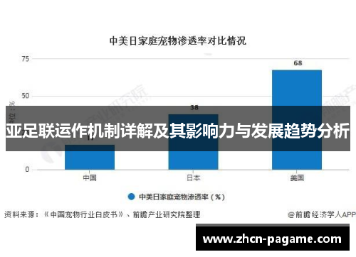 亚足联运作机制详解及其影响力与发展趋势分析