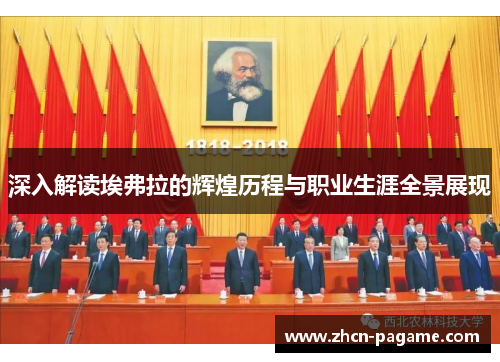 深入解读埃弗拉的辉煌历程与职业生涯全景展现