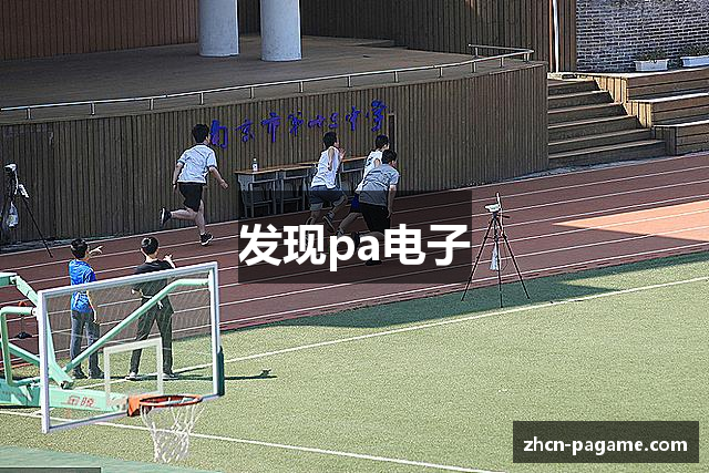 发现pa电子